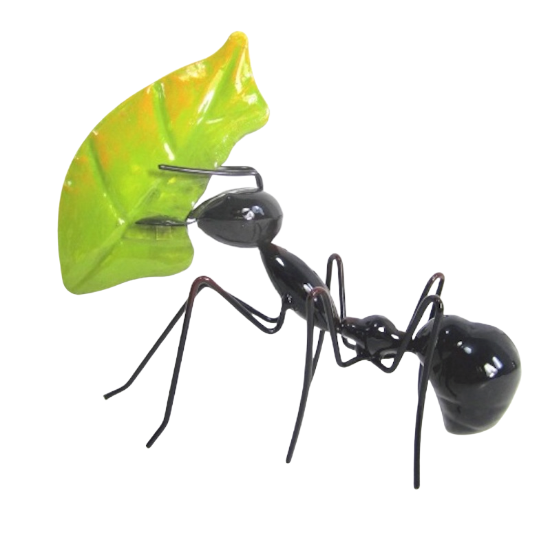 Ant eating leaf black
