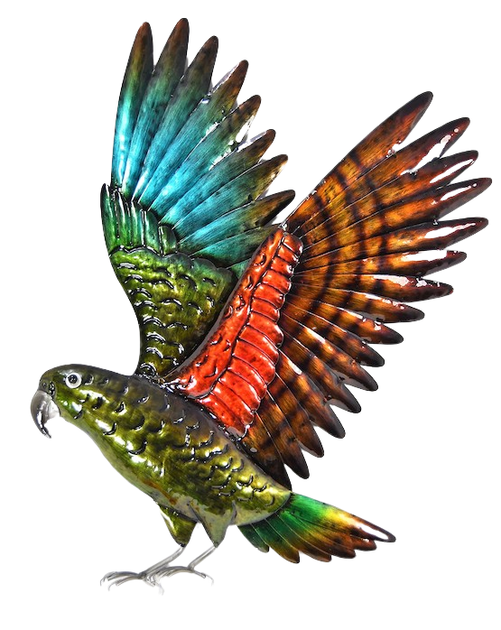 Kea in flight