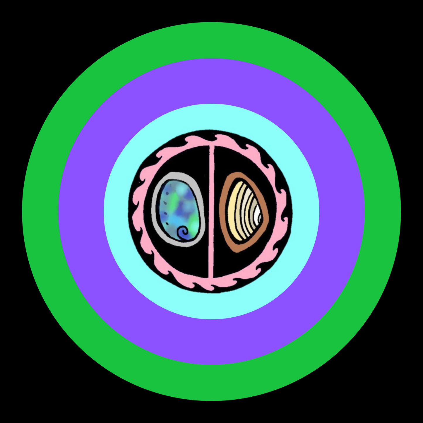 Paua Pipi