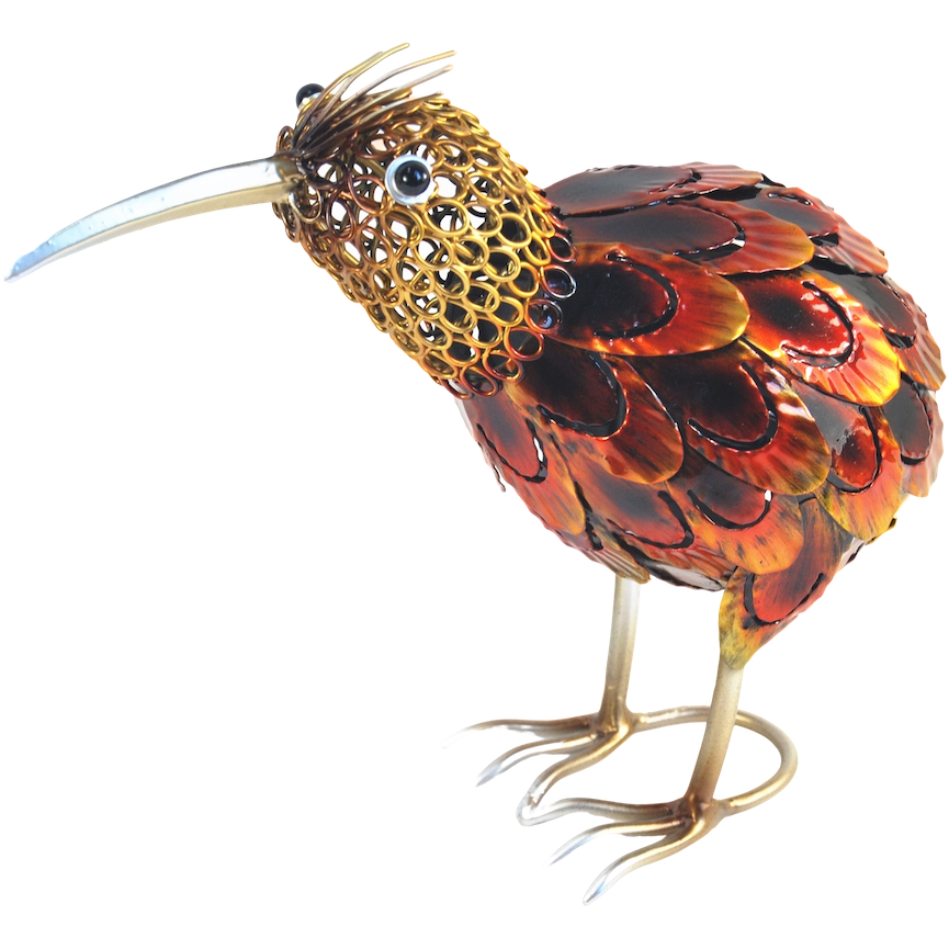 Kiwi ringed metal
