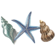 Seashell metal wall hanging