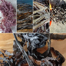 Load image into Gallery viewer, Dried Seaweeds bulk dried