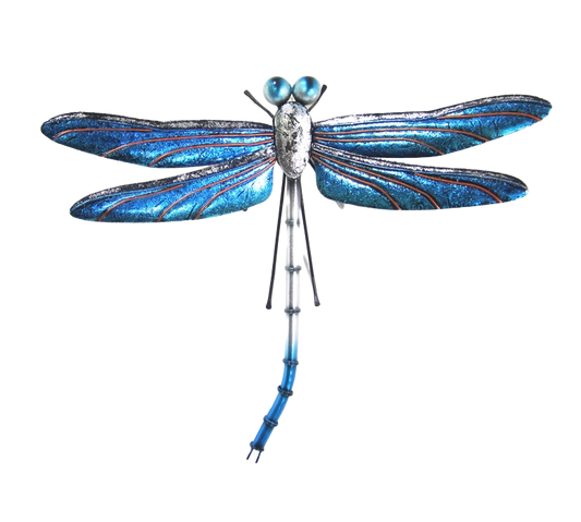 Blue dragonfly metal