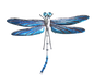 Blue dragonfly metal