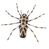 Large spider wall art