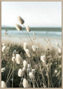 Summer Grass Canvas Print