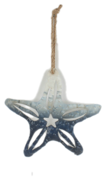 Starfish on rope metal