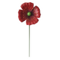 Red poppy stakes