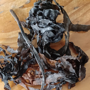 Dried Seaweeds bulk dried