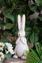 Rabbit standing long ears