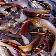 Load image into Gallery viewer, Dried Seaweeds bulk dried