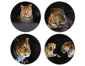 Leopard Face Coasters Set 4