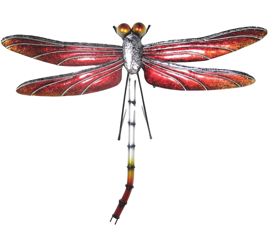 Red dragonfly