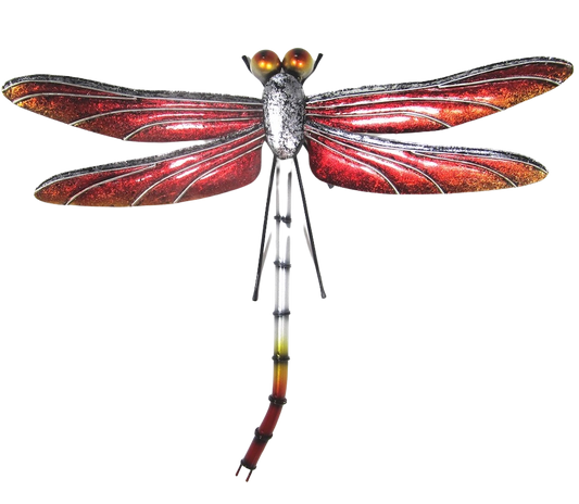 Red dragonfly