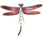 Red dragonfly