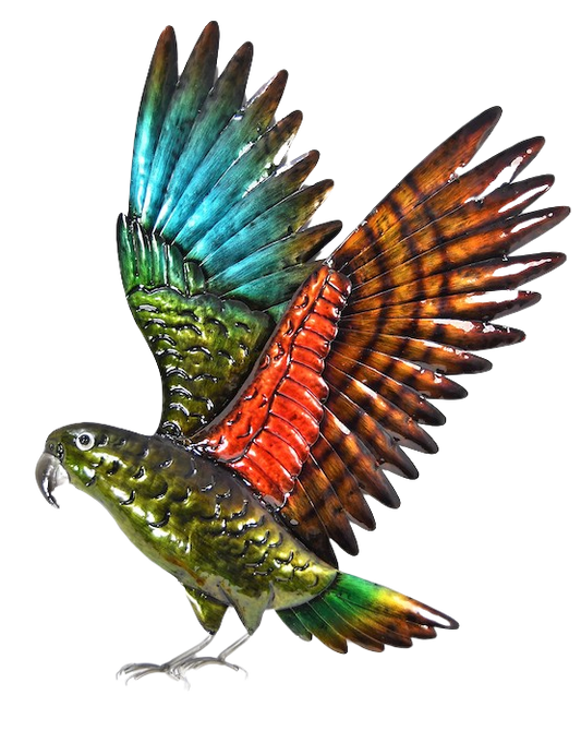 Kea in flight