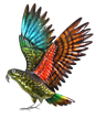 Kea in flight