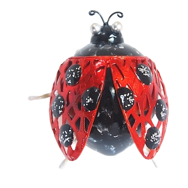 Ladybird Small Metal Hanging