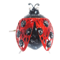 Ladybird Small Metal Hanging