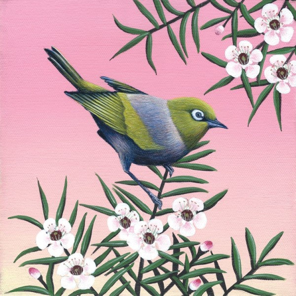 Waxeye on Manuka small box frame