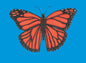 Monarch