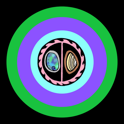 Paua Pipi