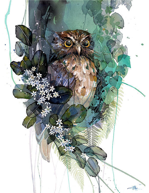 Morepork Putaputaweta small box frame