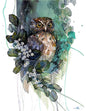 Morepork Putaputaweta small box frame