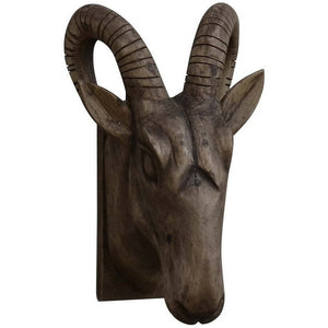 Rams head