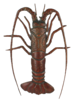 Lobster brown metal wall art large