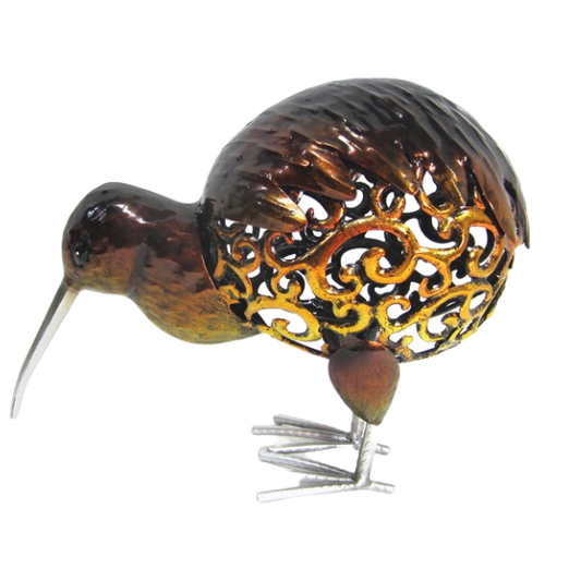 Koru chested kiwi