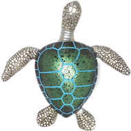 Turtle green or brown