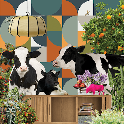 Three cows waiting small box frame
